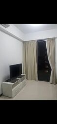 Sims Urban Oasis (D14), Condominium #533411491